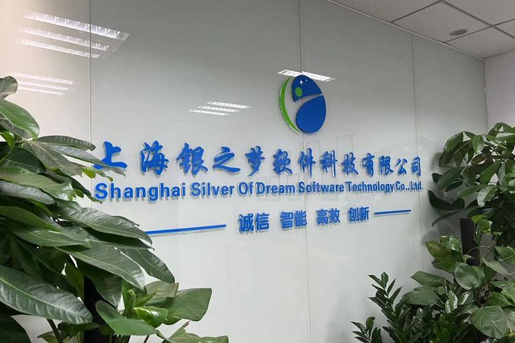 赋能数字未来 软件、信息与网络科技的整合服务之道